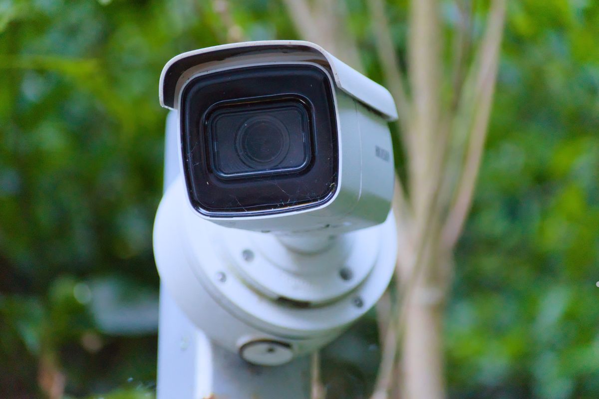 A close-up of a security camera mounted on a post, surrounded by lush green foliage.